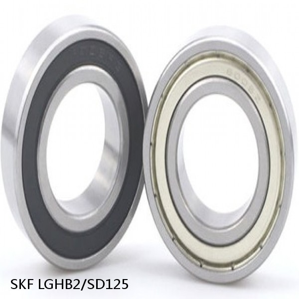 LGHB2/SD125 SKF Bearings Grease