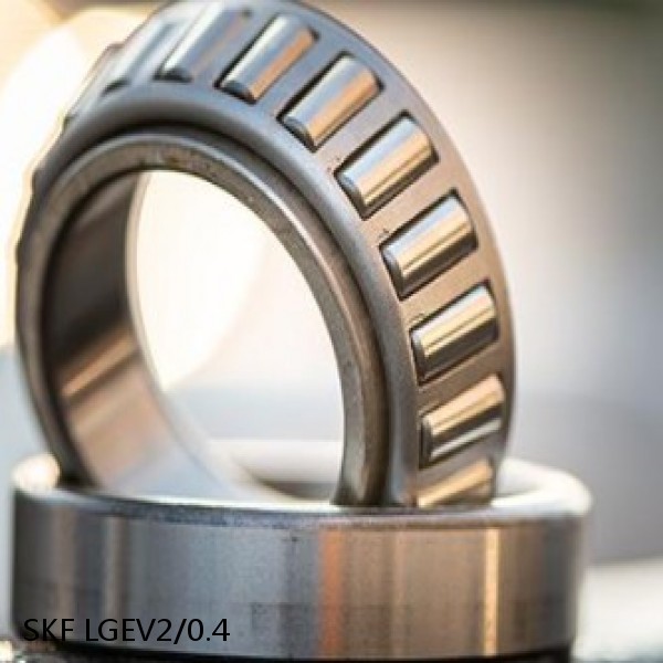 LGEV2/0.4 SKF Bearings Grease