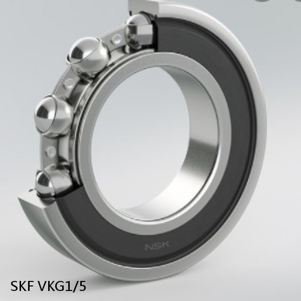 VKG1/5 SKF Bearings Grease