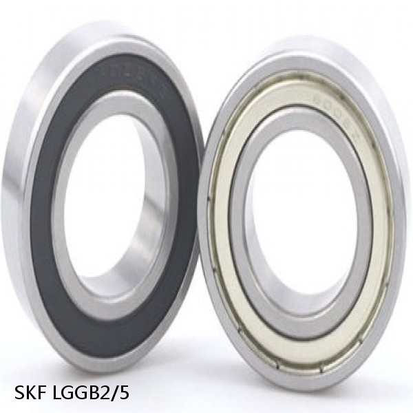 LGGB2/5 SKF Bearings Grease