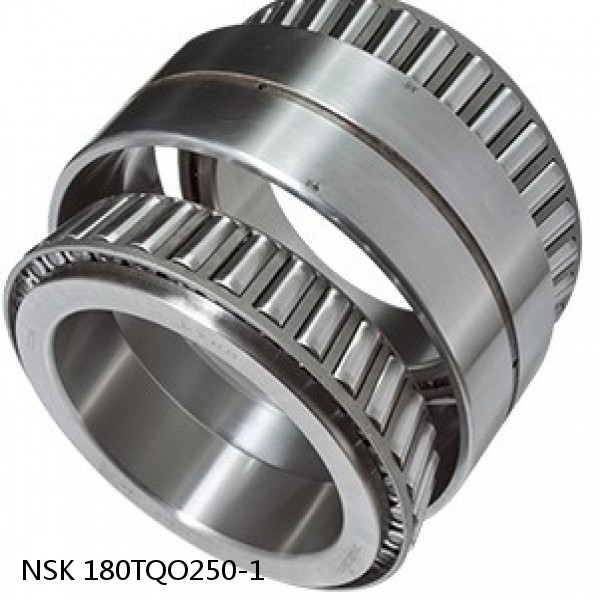180TQO250-1 NSK Tapered Roller bearings double-row